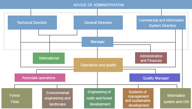 Organizational Chart