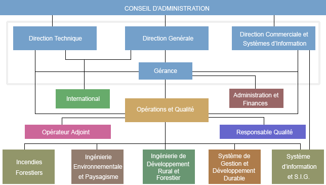 Organigrama