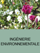 Ingénierie environnementale et paysagisme