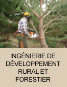Ingénierie forestière et rurale
