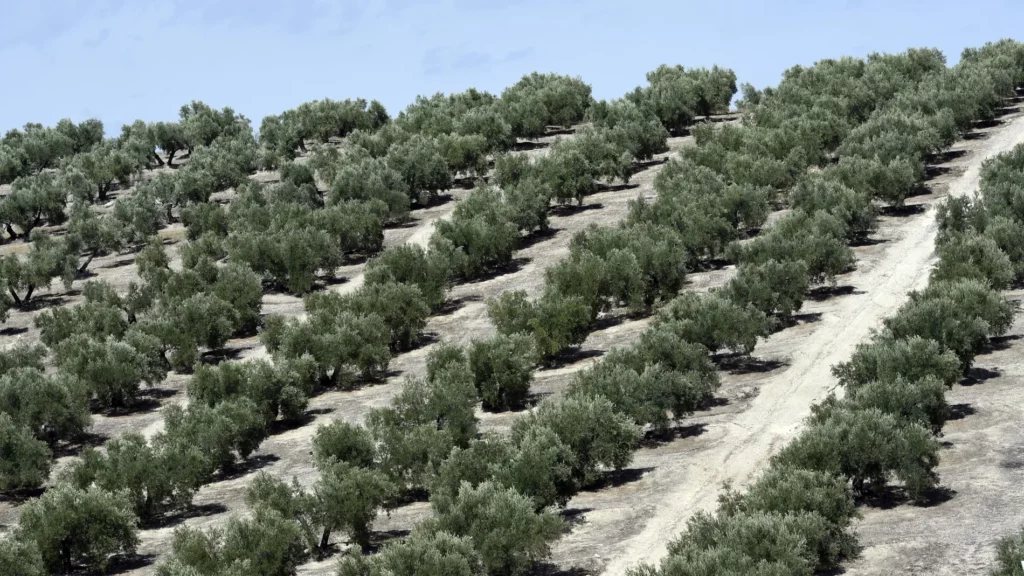 estudio94-proyectos1